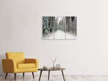 Laden Sie das Bild in den Galerie-Viewer, Leinwandbild 3-teilig Schnee im Wald
