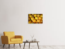 Laden Sie das Bild in den Galerie-Viewer, Leinwandbild 3-teilig Viele Orangen