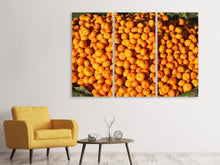 Laden Sie das Bild in den Galerie-Viewer, Leinwandbild 3-teilig Frische Mandarinen