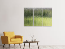 Laden Sie das Bild in den Galerie-Viewer, Leinwandbild 3-teilig Satiniertes Glas