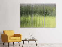Laden Sie das Bild in den Galerie-Viewer, Leinwandbild 3-teilig Satiniertes Glas