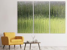 Laden Sie das Bild in den Galerie-Viewer, Leinwandbild 3-teilig Satiniertes Glas