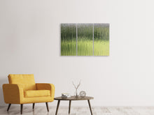 Laden Sie das Bild in den Galerie-Viewer, Leinwandbild 3-teilig Satiniertes Glas