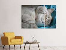 Laden Sie das Bild in den Galerie-Viewer, Leinwandbild 3-teilig Katzen Mama mit Baby