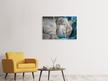 Laden Sie das Bild in den Galerie-Viewer, Leinwandbild 3-teilig Katzen Mama mit Baby