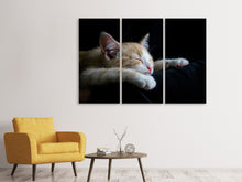 Laden Sie das Bild in den Galerie-Viewer, Leinwandbild 3-teilig Faule Katze