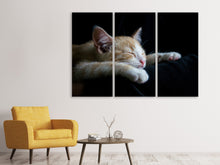 Laden Sie das Bild in den Galerie-Viewer, Leinwandbild 3-teilig Faule Katze