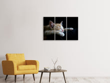 Laden Sie das Bild in den Galerie-Viewer, Leinwandbild 3-teilig Faule Katze