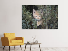 Laden Sie das Bild in den Galerie-Viewer, Leinwandbild 3-teilig Tiger Kitten