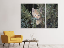 Laden Sie das Bild in den Galerie-Viewer, Leinwandbild 3-teilig Tiger Kitten