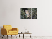 Laden Sie das Bild in den Galerie-Viewer, Leinwandbild 3-teilig Tiger Kitten