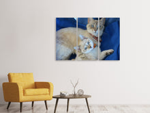 Laden Sie das Bild in den Galerie-Viewer, Leinwandbild 3-teilig Wie die Mama...