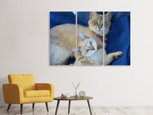 Laden Sie das Bild in den Galerie-Viewer, Leinwandbild 3-teilig Wie die Mama...