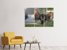 Laden Sie das Bild in den Galerie-Viewer, Leinwandbild 3-teilig Verliebt in Kitten