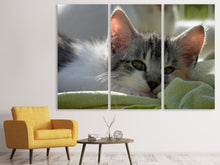 Laden Sie das Bild in den Galerie-Viewer, Leinwandbild 3-teilig Verliebt in Kitten