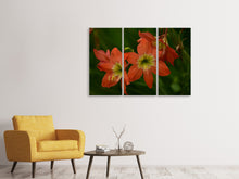 Laden Sie das Bild in den Galerie-Viewer, Leinwandbild 3-teilig Lilien in orange