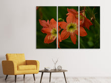 Laden Sie das Bild in den Galerie-Viewer, Leinwandbild 3-teilig Lilien in orange