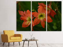 Laden Sie das Bild in den Galerie-Viewer, Leinwandbild 3-teilig Lilien in orange