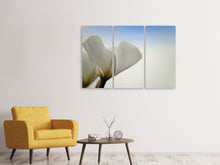 Laden Sie das Bild in den Galerie-Viewer, Leinwandbild 3-teilig Das Blatt einer Lilienblüte