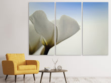 Laden Sie das Bild in den Galerie-Viewer, Leinwandbild 3-teilig Das Blatt einer Lilienblüte