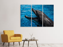 Laden Sie das Bild in den Galerie-Viewer, Leinwandbild 3-teilig Freundlicher Delphin