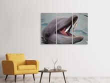 Laden Sie das Bild in den Galerie-Viewer, Leinwandbild 3-teilig Essenszeit für einen Delphin