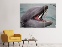 Laden Sie das Bild in den Galerie-Viewer, Leinwandbild 3-teilig Essenszeit für einen Delphin