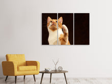Laden Sie das Bild in den Galerie-Viewer, Leinwandbild 3-teilig Achtung kluge Katze
