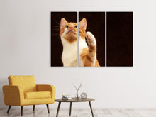 Laden Sie das Bild in den Galerie-Viewer, Leinwandbild 3-teilig Achtung kluge Katze