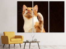 Laden Sie das Bild in den Galerie-Viewer, Leinwandbild 3-teilig Achtung kluge Katze