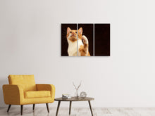 Laden Sie das Bild in den Galerie-Viewer, Leinwandbild 3-teilig Achtung kluge Katze