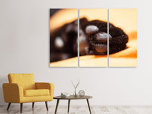 Laden Sie das Bild in den Galerie-Viewer, Leinwandbild 3-teilig Katzenpfote