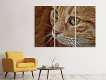 Laden Sie das Bild in den Galerie-Viewer, Leinwandbild 3-teilig Close up Katzenkopf