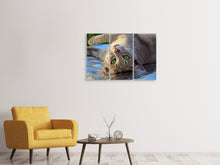 Laden Sie das Bild in den Galerie-Viewer, Leinwandbild 3-teilig Grünauge