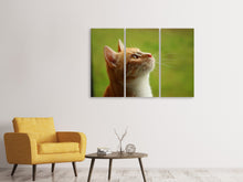 Laden Sie das Bild in den Galerie-Viewer, Leinwandbild 3-teilig Katzennase