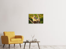 Laden Sie das Bild in den Galerie-Viewer, Leinwandbild 3-teilig Zeig die Krallen!