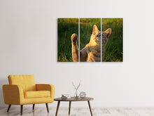 Laden Sie das Bild in den Galerie-Viewer, Leinwandbild 3-teilig Katzen Spiel