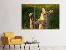 Laden Sie das Bild in den Galerie-Viewer, Leinwandbild 3-teilig Katzen Spiel