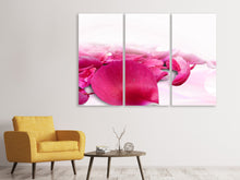 Laden Sie das Bild in den Galerie-Viewer, Leinwandbild 3-teilig Rosenblätter in pink