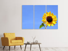 Laden Sie das Bild in den Galerie-Viewer, Leinwandbild 3-teilig Sonnenblume mit blauem Himmel