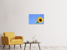 Laden Sie das Bild in den Galerie-Viewer, Leinwandbild 3-teilig Sonnenblume mit blauem Himmel