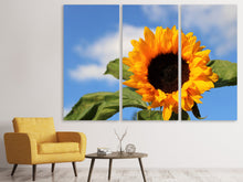 Laden Sie das Bild in den Galerie-Viewer, Leinwandbild 3-teilig Sonnenblume in der Blüte