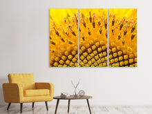 Laden Sie das Bild in den Galerie-Viewer, Leinwandbild 3-teilig Die Knospen der Sonnenblume in XXL