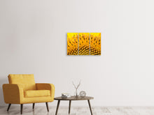 Laden Sie das Bild in den Galerie-Viewer, Leinwandbild 3-teilig Die Knospen der Sonnenblume in XXL