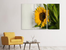 Laden Sie das Bild in den Galerie-Viewer, Leinwandbild 3-teilig Schöne Sonnenblume