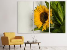 Laden Sie das Bild in den Galerie-Viewer, Leinwandbild 3-teilig Schöne Sonnenblume