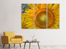 Laden Sie das Bild in den Galerie-Viewer, Leinwandbild 3-teilig Blütenstand einer Sonnenblume