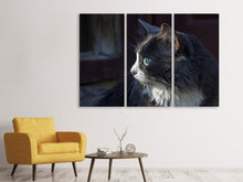 Laden Sie das Bild in den Galerie-Viewer, Leinwandbild 3-teilig Katzenkopf XL