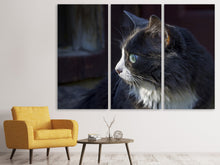 Laden Sie das Bild in den Galerie-Viewer, Leinwandbild 3-teilig Katzenkopf XL