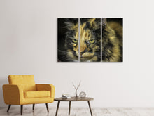 Laden Sie das Bild in den Galerie-Viewer, Leinwandbild 3-teilig Achtung Katze